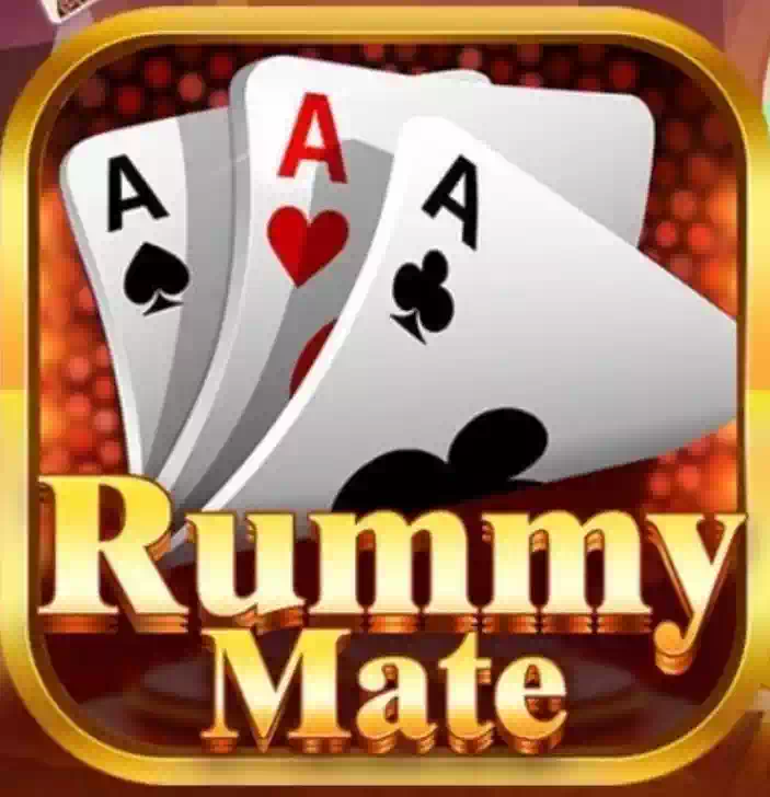 Rummy Mate icon